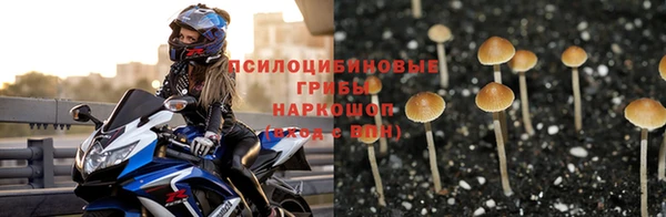 ПСИЛОЦИБИНОВЫЕ ГРИБЫ Дмитровск