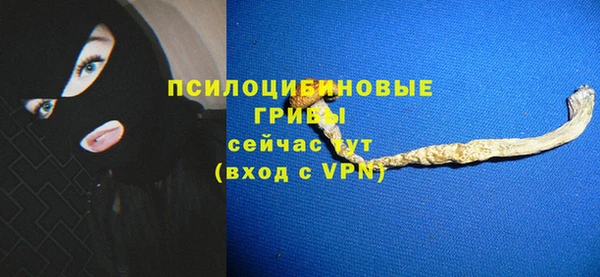 таблы Дмитриев