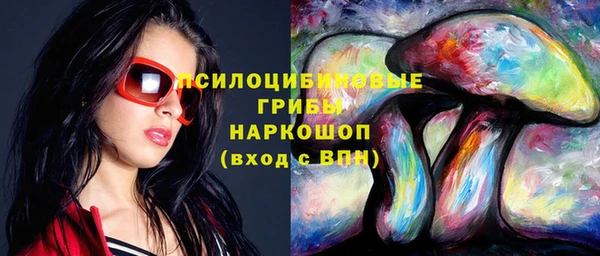 ПСИЛОЦИБИНОВЫЕ ГРИБЫ Дмитровск