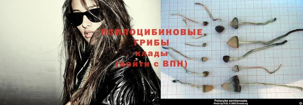 ПСИЛОЦИБИНОВЫЕ ГРИБЫ Дмитровск