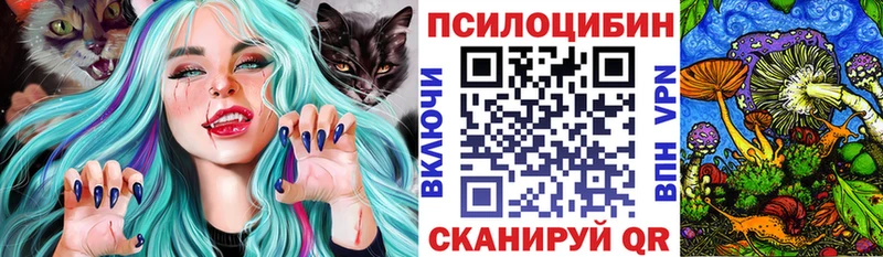 магазин продажи наркотиков  Элиста  Псилоцибиновые грибы Psilocybe 